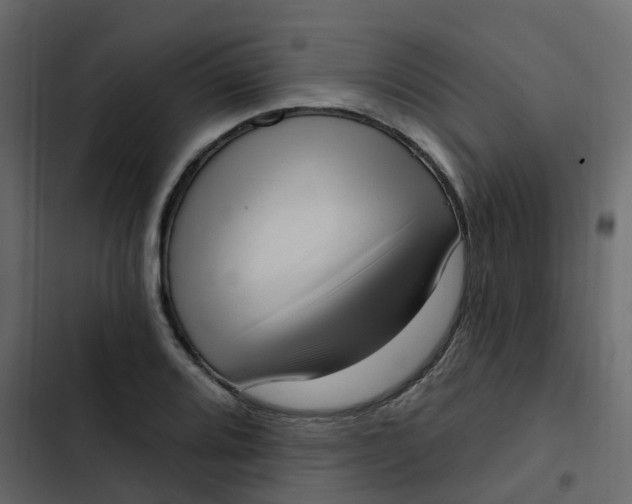 X0000102871080200809021442