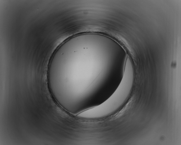 X0000102871081200809021442