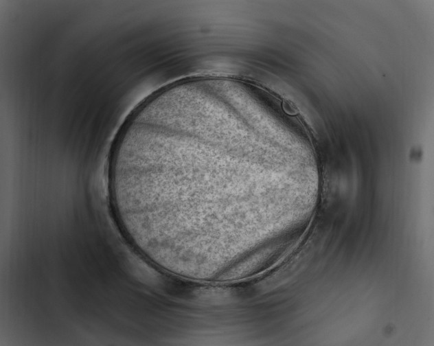 X0000102871083200809021442