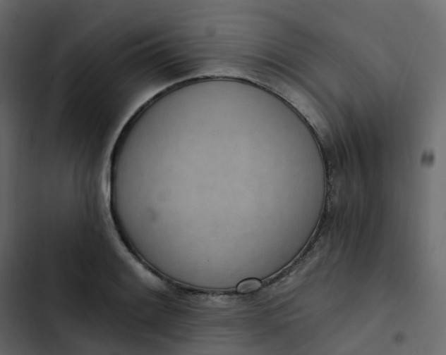 X0000102871084200809021442