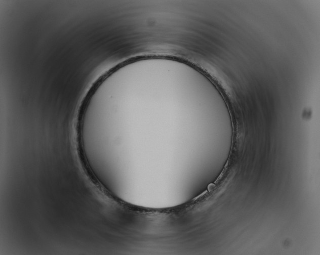 X0000102871085200809021442