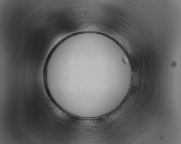 X0000102871086200809021442