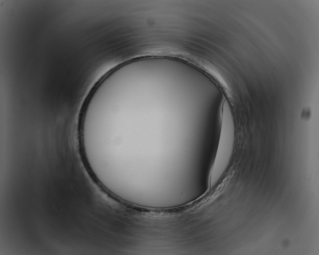 X0000102871087200809021442