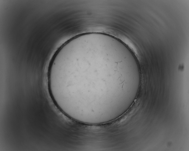 X0000102871088200809021442