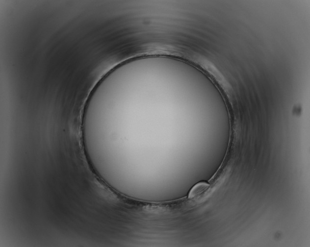 X0000102871089200809021442