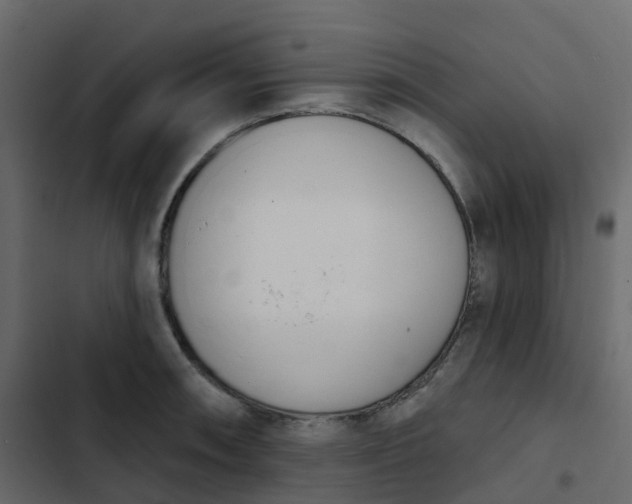 X0000102871090200809021442