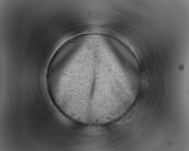 X0000102871091200809021442