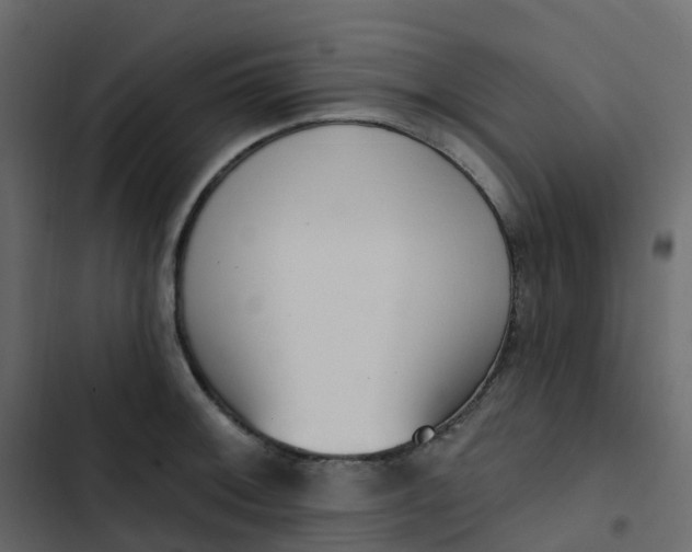 X0000102871092200809021442