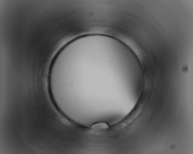 X0000102871093200809021442