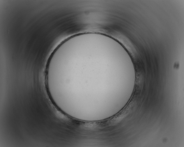 X0000102871094200809021442