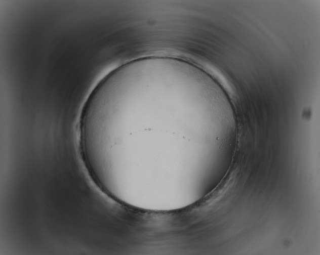 X0000102871095200809021442