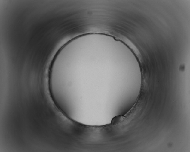 X0000102871096200809021442