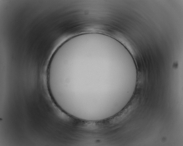 X0000102871098200809021442