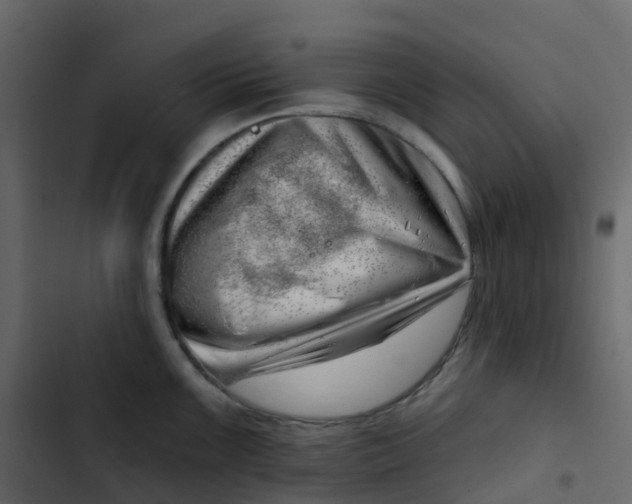 X0000102871099200809021442