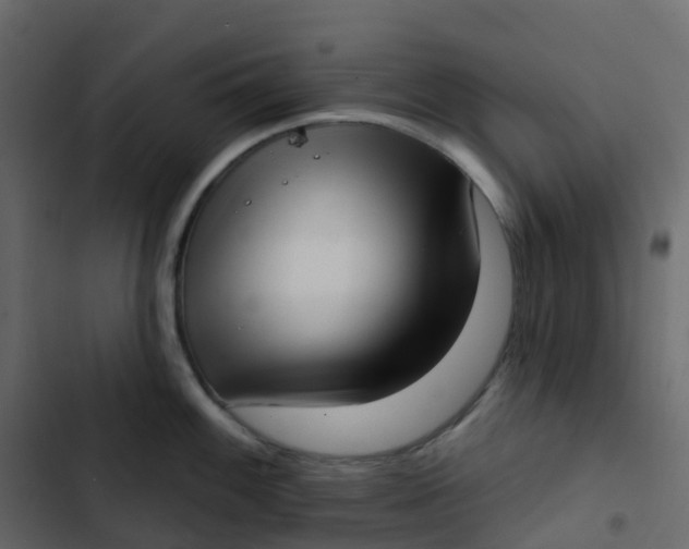 X0000102871100200809021442