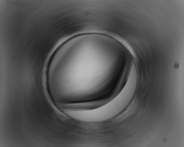 X0000102871101200809021441