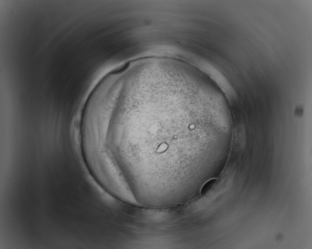 X0000102871103200809021441