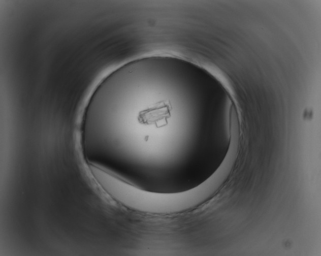 X0000102871104200809021441