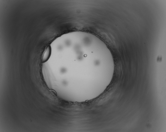 X0000102871105200809021441