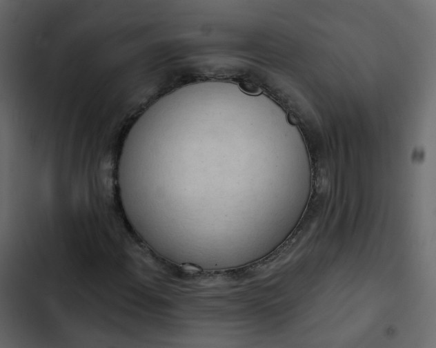 X0000102871108200809021441