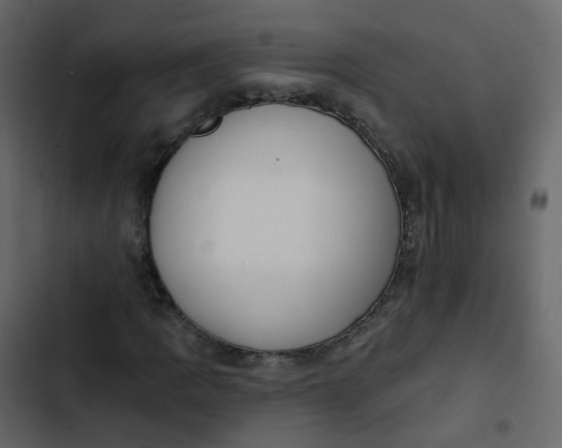 X0000102871109200809021441