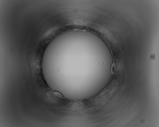 X0000102871110200809021441