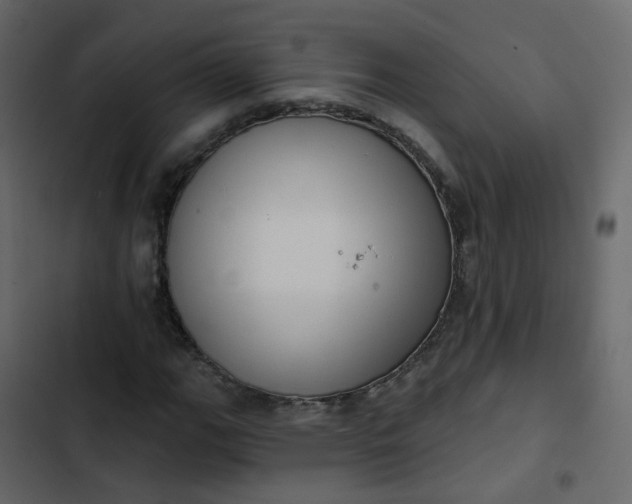 X0000102871111200809021441