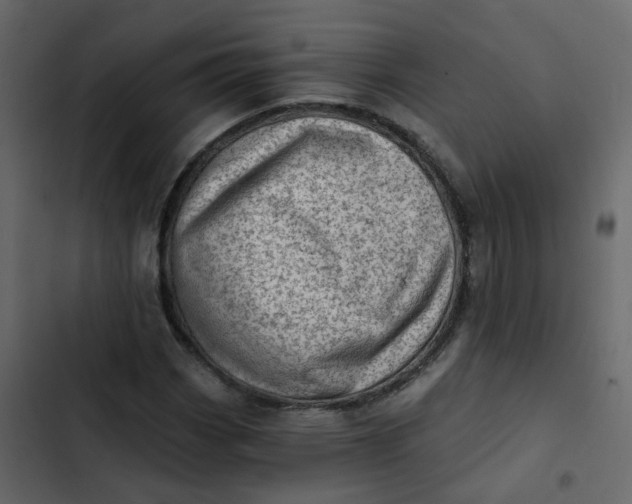 X0000102871113200809021441