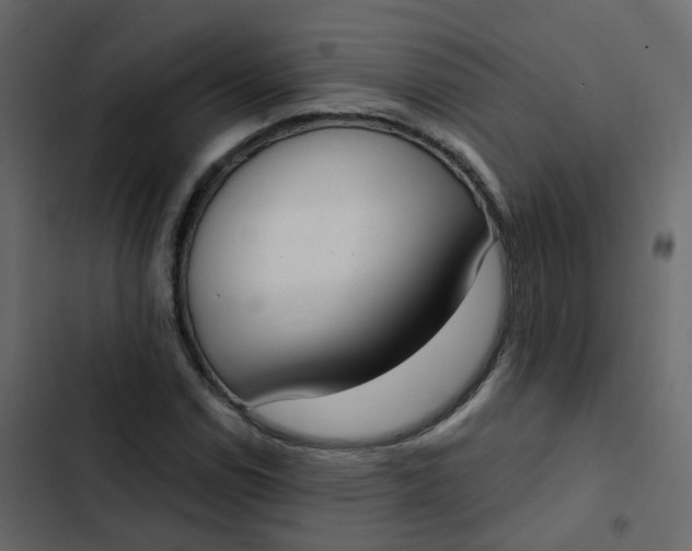 X0000102871114200809021441