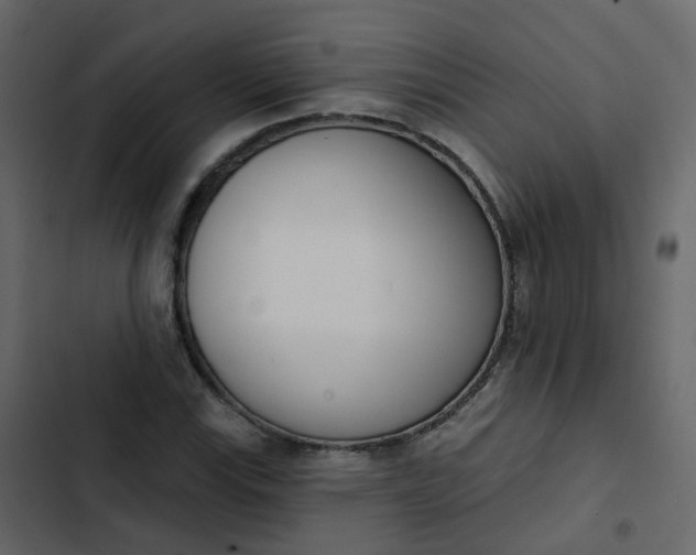 X0000102871115200809021441