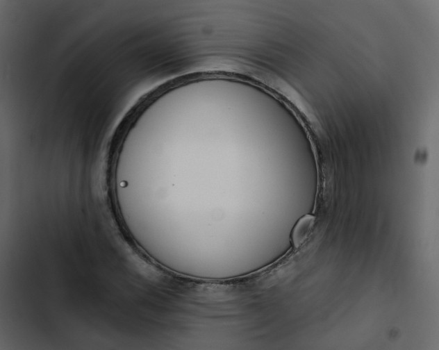 X0000102871116200809021441