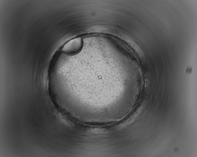 X0000102871117200809021441