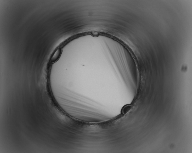 X0000102871119200809021441