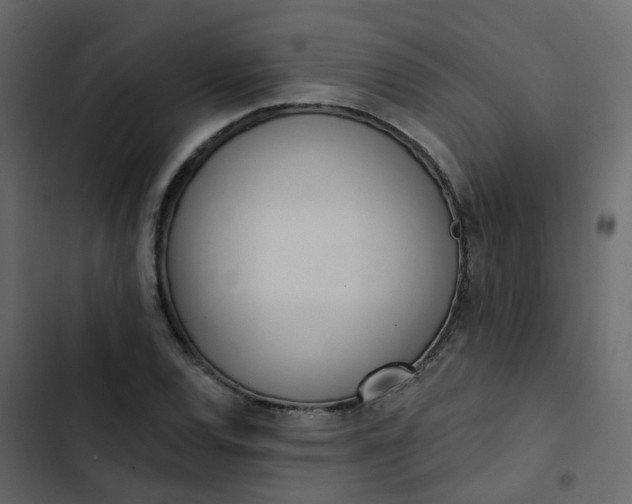 X0000102871120200809021441