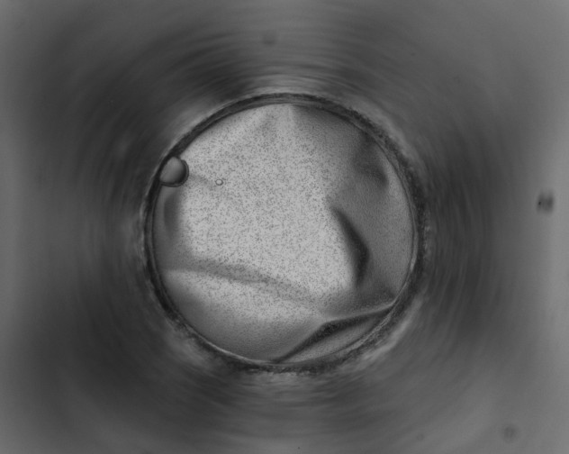 X0000102871121200809021441