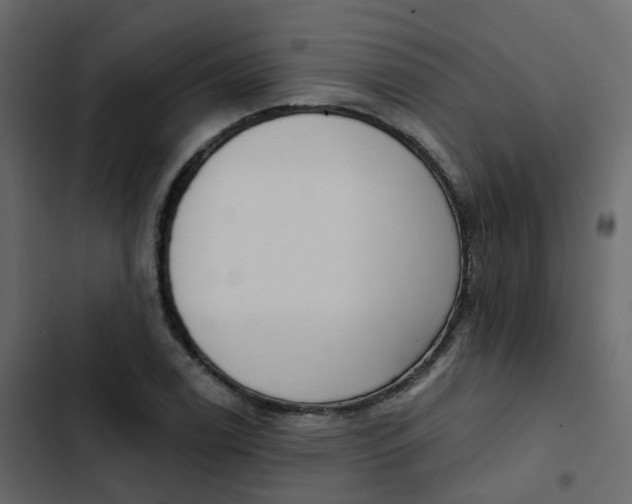 X0000102871122200809021441