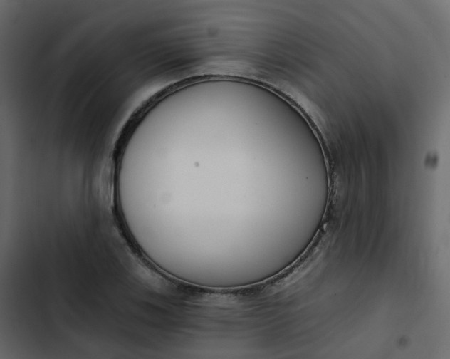 X0000102871123200809021441