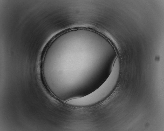 X0000102871124200809021441