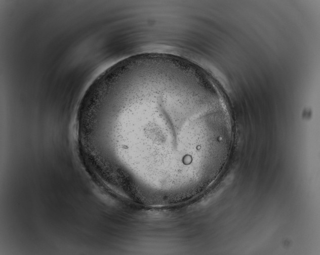 X0000102871125200809021441