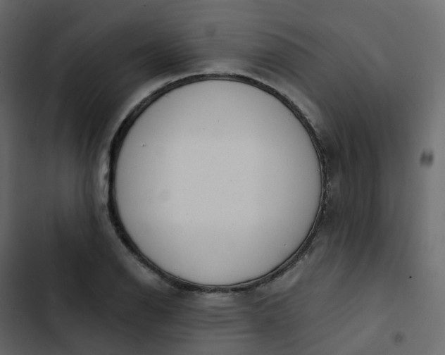 X0000102871126200809021441