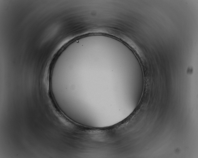 X0000102871127200809021441