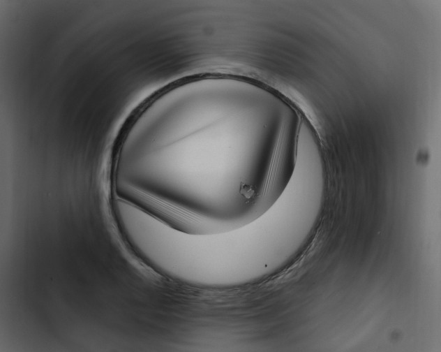 X0000102871128200809021441