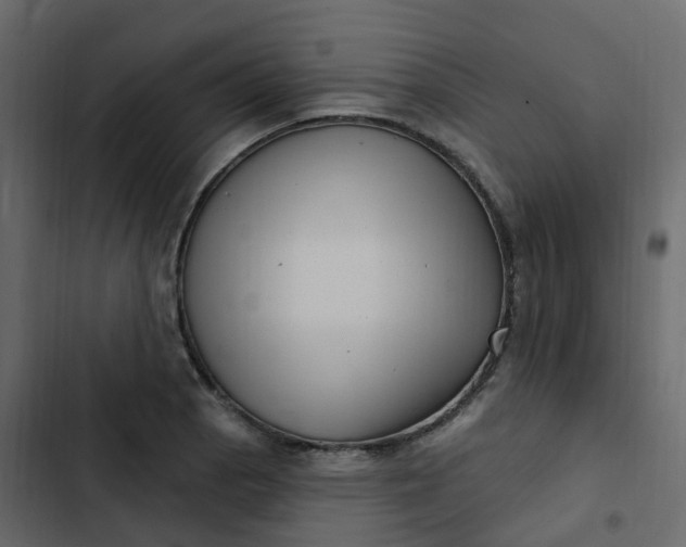 X0000102871129200809021441