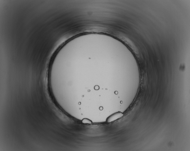 X0000102871130200809021441