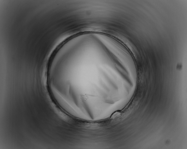 X0000102871131200809021441