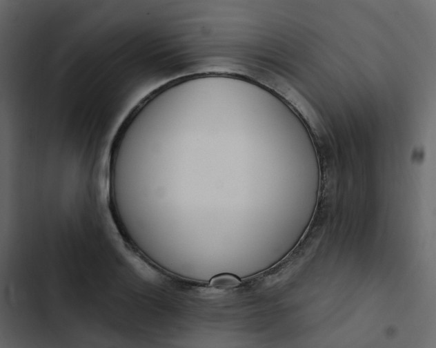 X0000102871132200809021441