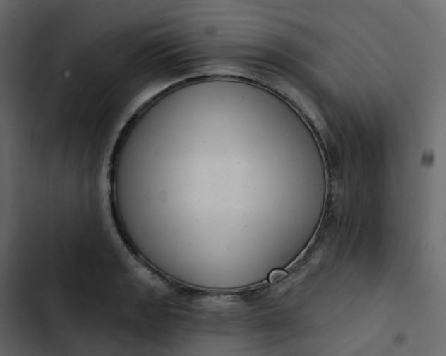 X0000102871133200809021441