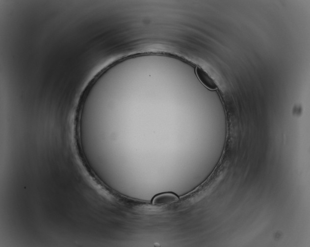 X0000102871134200809021441