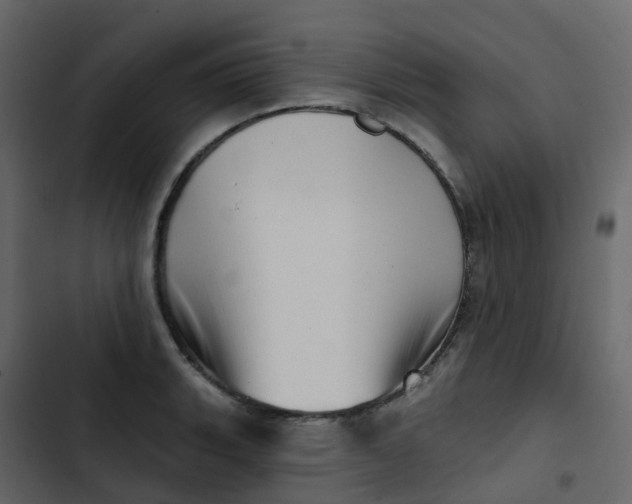 X0000102871135200809021441