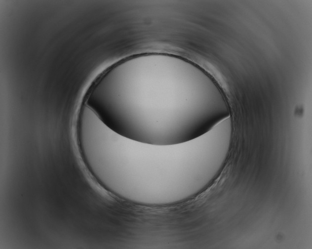 X0000102871136200809021441